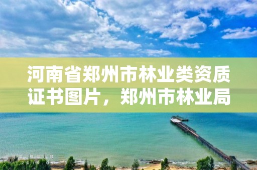 河南省郑州市林业类资质证书图片,郑州市林业局2020年林业产业项目
