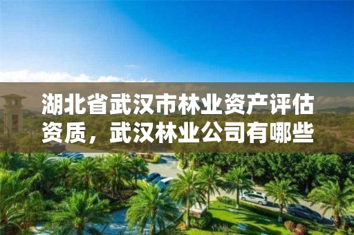 湖北省武汉市林业资产评估资质，武汉林业公司有哪些