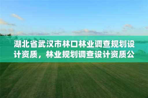 湖北省武汉市林口林业调查规划设计资质，林业规划调查设计资质公司有哪些