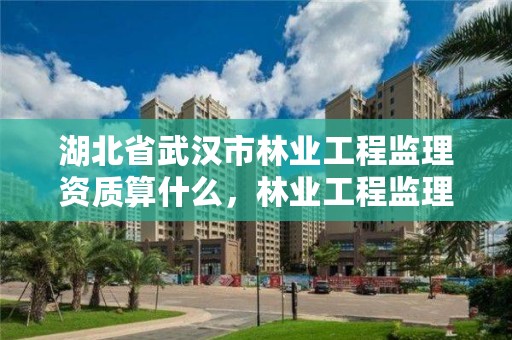 湖北省武汉市林业工程监理资质算什么，林业工程监理公司