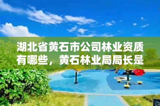 湖北省黄石市公司林业资质有哪些，黄石林业局局长是谁