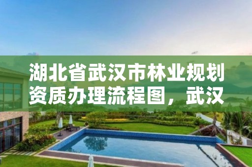 湖北省武汉市林业规划资质办理流程图，武汉林业调查规划院