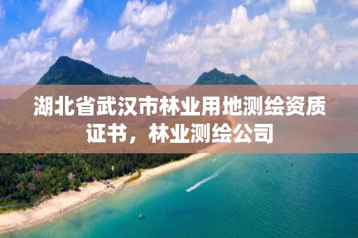 湖北省武汉市林业用地测绘资质证书，林业测绘公司