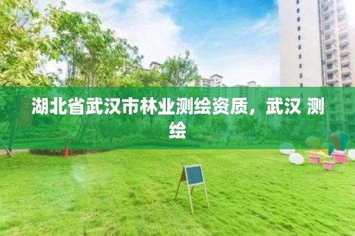 湖北省武汉市林业测绘资质，武汉 测绘