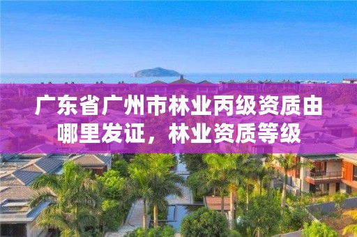 广东省广州市林业丙级资质由哪里发证，林业资质等级