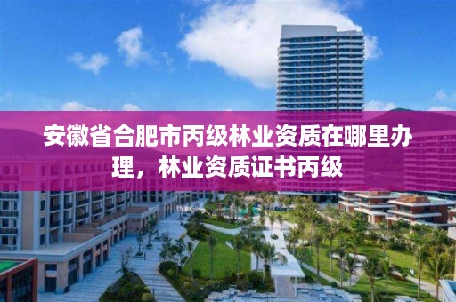安徽省合肥市丙级林业资质在哪里办理,林业资质证书丙级