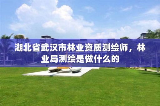 湖北省武汉市林业资质测绘师，林业局测绘是做什么的
