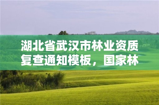 湖北省武汉市林业资质复查通知模板，国家林业局林产品质量检验检测中心武汉