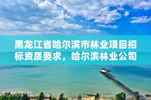 黑龙江省哈尔滨市林业项目招标资质要求,哈尔滨林业公司