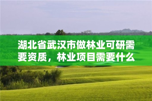 湖北省武汉市做林业可研需要资质，林业项目需要什么资质