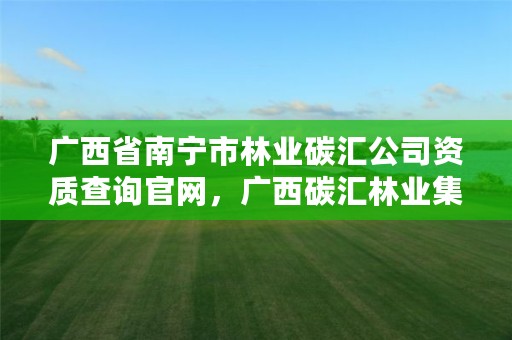 广西省南宁市林业碳汇公司资质查询官网,广西碳汇林业集团有限公司