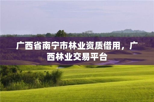 广西省南宁市林业资质借用,广西林业交易平台