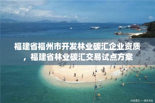 福建省福州市开发林业碳汇企业资质,福建省林业碳汇交易试点方案