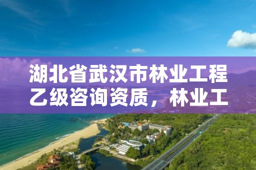 湖北省武汉市林业工程乙级咨询资质，林业工程咨询公司