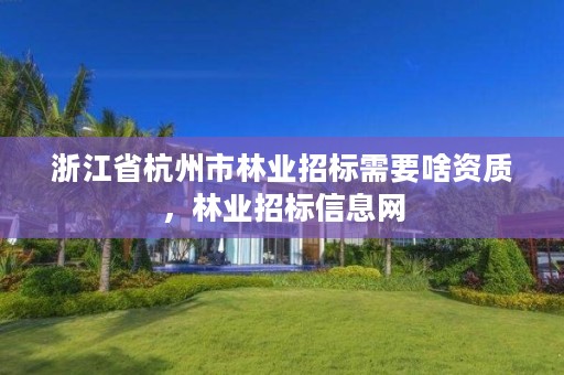 浙江省杭州市林业招标需要啥资质，林业招标信息网