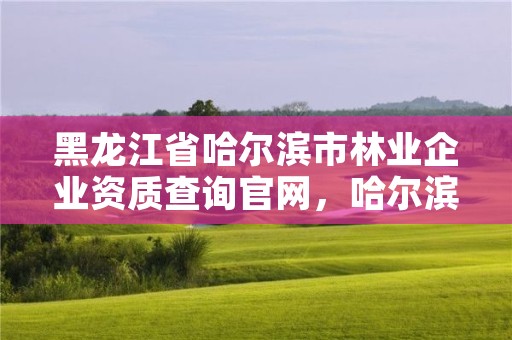 黑龙江省哈尔滨市林业企业资质查询官网,哈尔滨林业总局