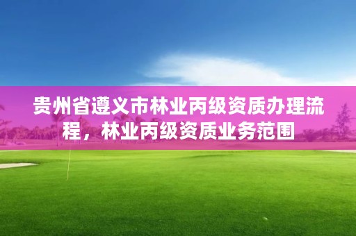 贵州省遵义市林业丙级资质办理流程，林业丙级资质业务范围