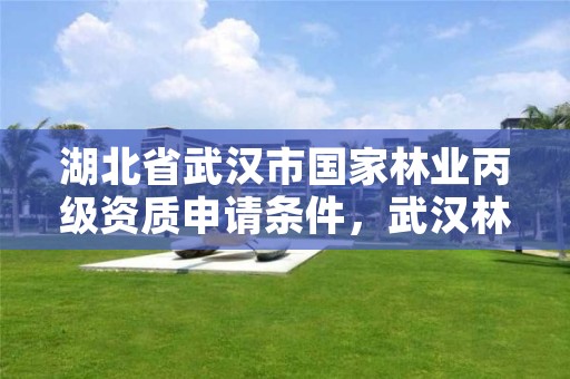 湖北省武汉市国家林业丙级资质申请条件，武汉林业公司有哪些