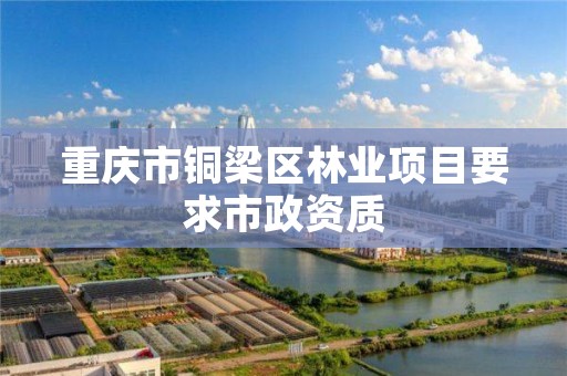 重庆市铜梁区林业项目要求市政资质