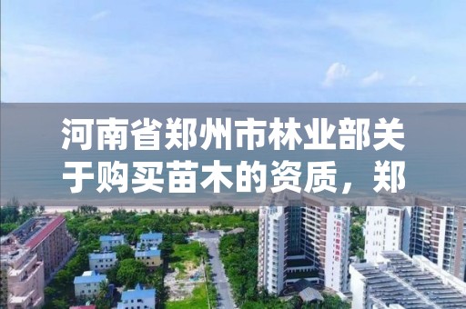 河南省郑州市林业部关于购买苗木的资质,郑州绿化苗木市场