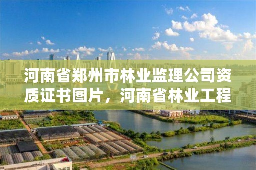 河南省郑州市林业监理公司资质证书图片,河南省林业工程咨询有限公司