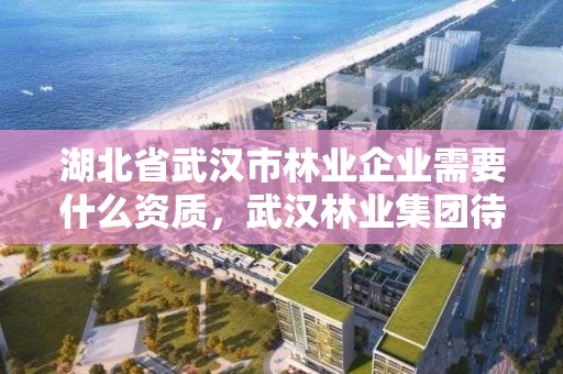 湖北省武汉市林业企业需要什么资质，武汉林业集团待遇好吗