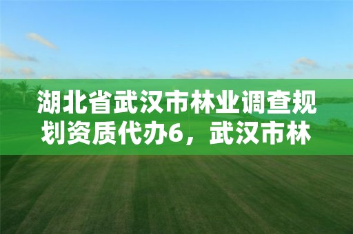 湖北省武汉市林业调查规划资质代办6,武汉市林业调查规划设计院怎么样