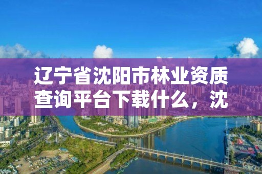 辽宁省沈阳市林业资质查询平台下载什么,沈阳林业公司