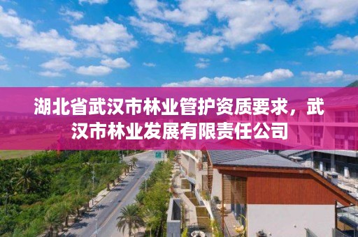 湖北省武汉市林业管护资质要求，武汉市林业发展有限责任公司