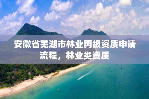 安徽省芜湖市林业丙级资质申请流程,林业类资质
