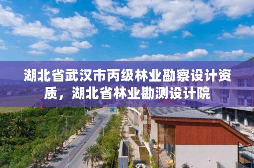 湖北省武汉市丙级林业勘察设计资质，湖北省林业勘测设计院
