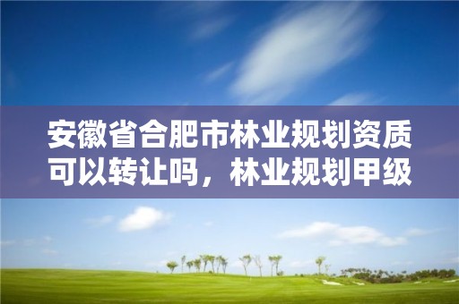 安徽省合肥市林业规划资质可以转让吗,林业规划甲级资质单位