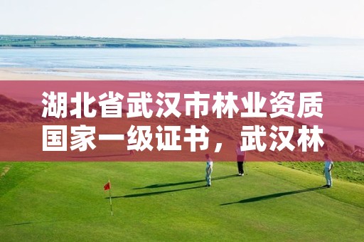 湖北省武汉市林业资质国家一级证书，武汉林业厅