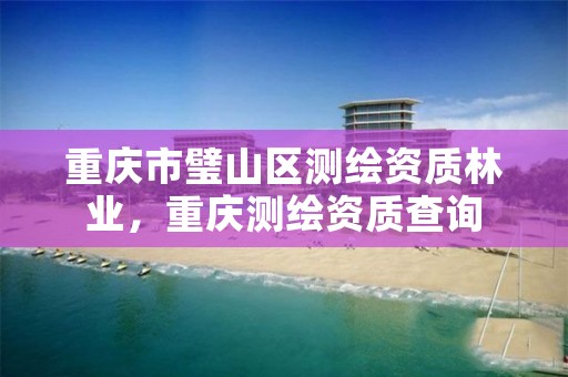 重庆市璧山区测绘资质林业,重庆测绘资质查询