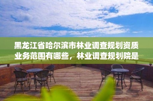 黑龙江省哈尔滨市林业调查规划资质业务范围有哪些,林业调查规划院是干什么的