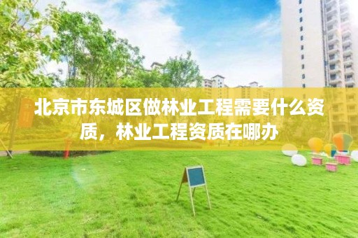 北京市东城区做林业工程需要什么资质,林业工程资质在哪办