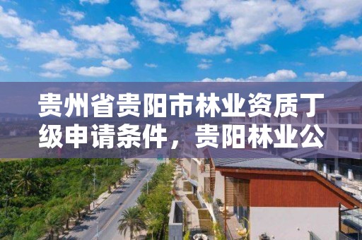贵州省贵阳市林业资质丁级申请条件，贵阳林业公司