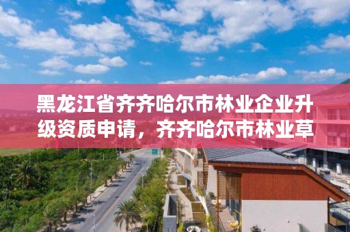 黑龙江省齐齐哈尔市林业企业升级资质申请,齐齐哈尔市林业草原局