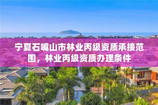 宁夏石嘴山市林业丙级资质承接范围,林业丙级资质办理条件