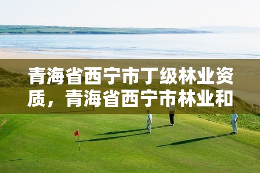 青海省西宁市丁级林业资质,青海省西宁市林业和草原局