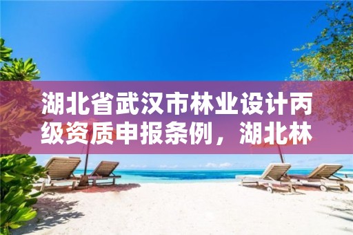 湖北省武汉市林业设计丙级资质申报条例，湖北林业规划设计院