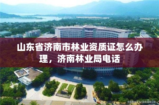 山东省济南市林业资质证怎么办理,济南林业局电话