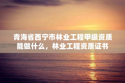 青海省西宁市林业工程甲级资质能做什么,林业工程资质证书