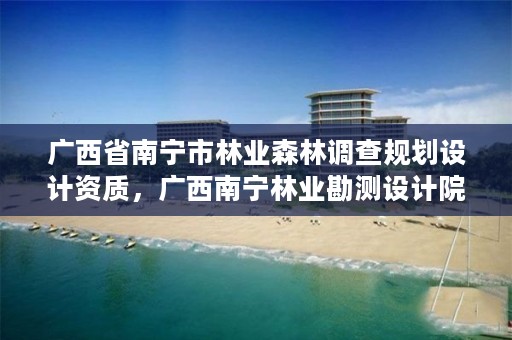 广西省南宁市林业森林调查规划设计资质,广西南宁林业勘测设计院