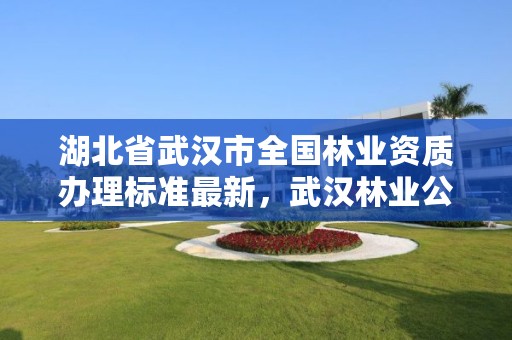 湖北省武汉市全国林业资质办理标准最新，武汉林业公司有哪些