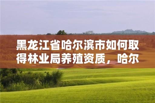 黑龙江省哈尔滨市如何取得林业局养殖资质,哈尔滨市林业局直属林场