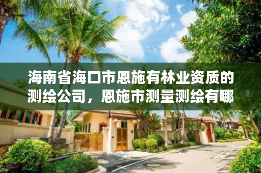 海南省海口市恩施有林业资质的测绘公司,恩施市测量测绘有哪些公司