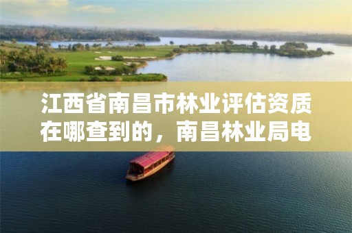 江西省南昌市林业评估资质在哪查到的,南昌林业局电话号码
