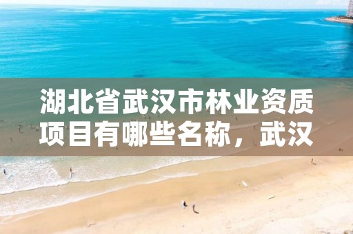 湖北省武汉市林业资质项目有哪些名称，武汉林业发展公司