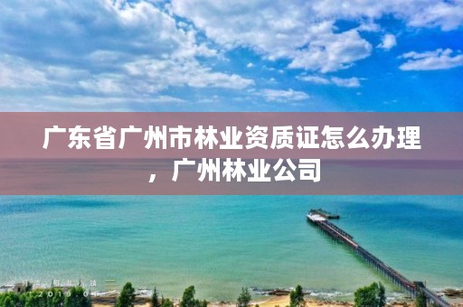 广东省广州市林业资质证怎么办理,广州林业公司